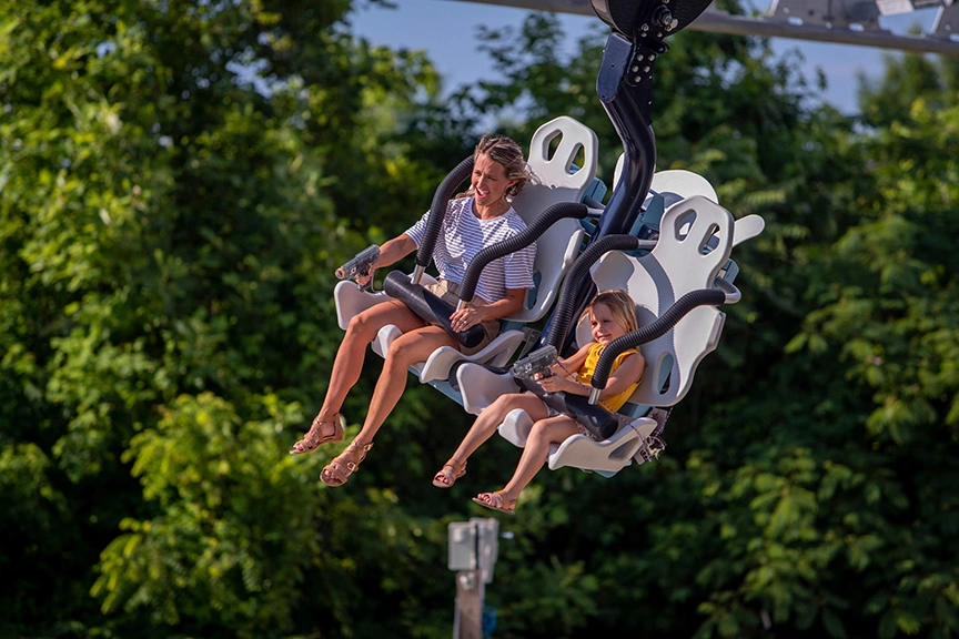 rowdy bear laser coaster