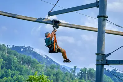 rowdy bear mountain glider