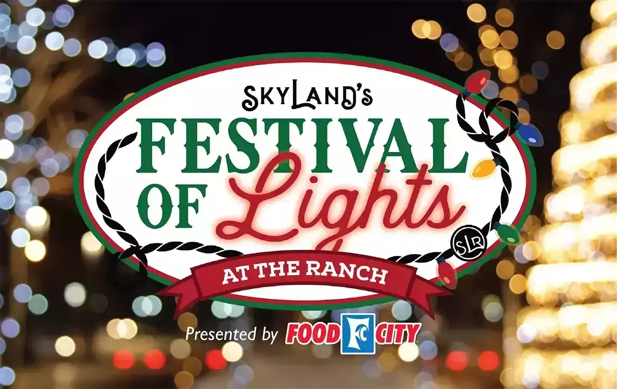 skyland_festival-of-lights-compressed