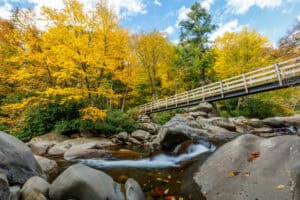 chimney tops trail in the fall